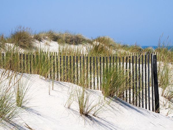 Eggers, Julie 아티스트의 Portugal-Costa Nova-Beach grass-sand and old fence line at the beach resort of Costa Nova near Avei작품입니다.